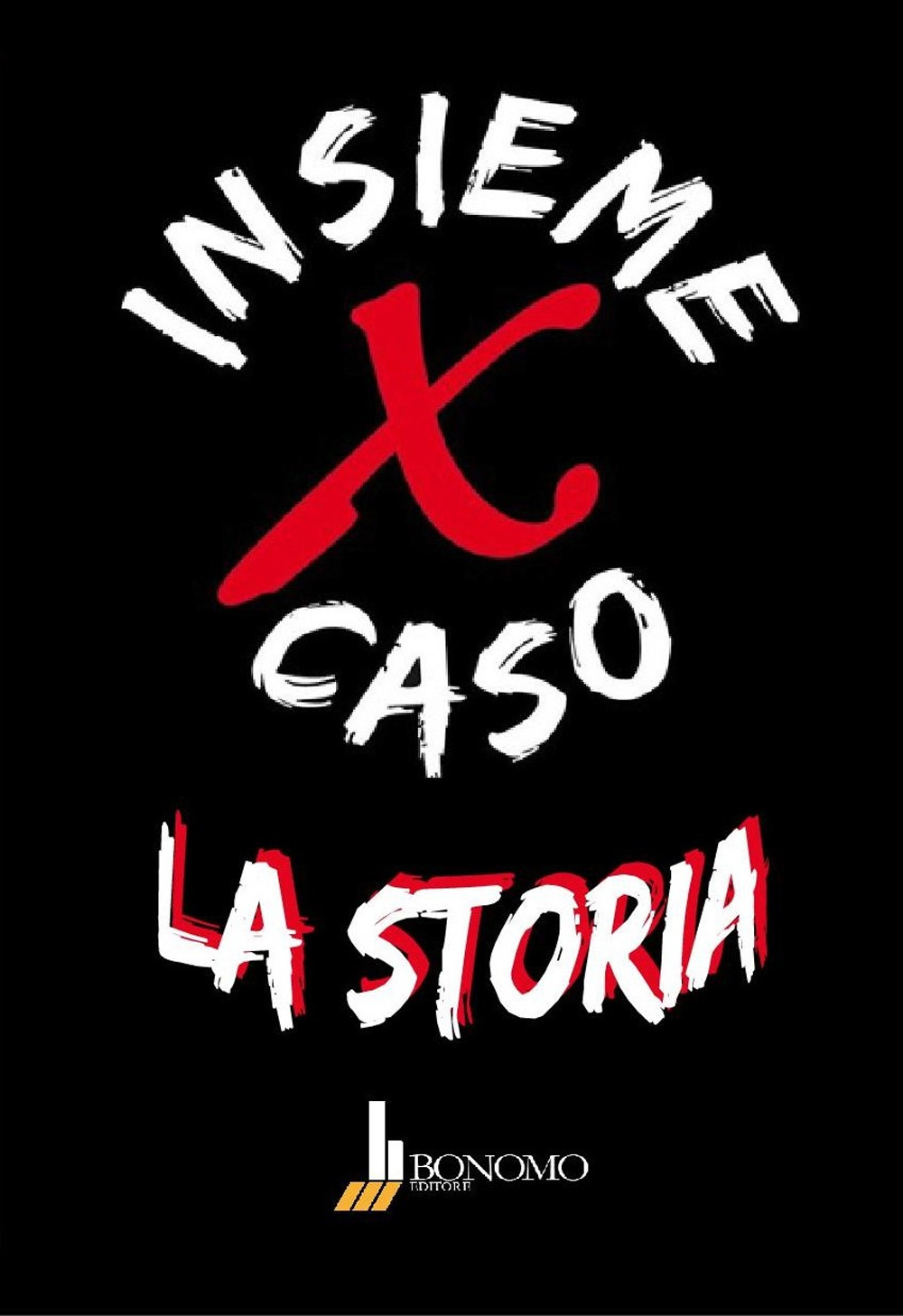 Insieme per caso. La storia