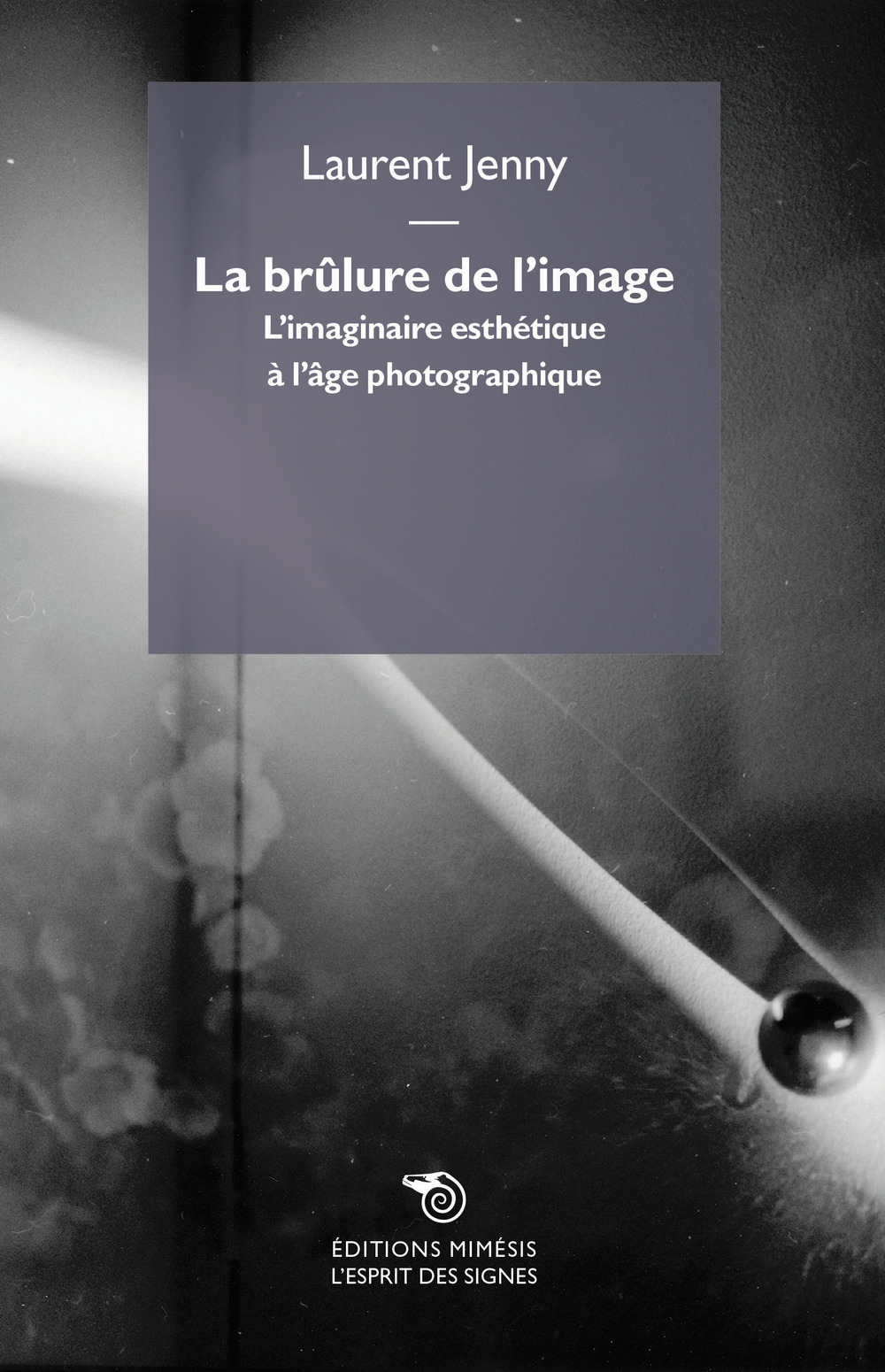 La brûlure de l'image. L’imaginaire esthétique à l’âge photographique