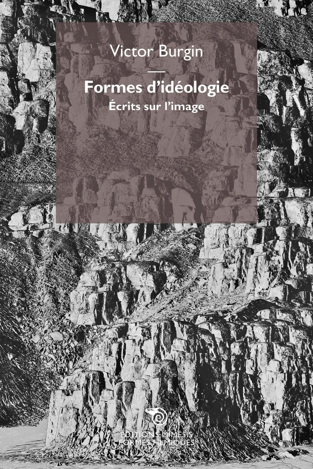 Formes d'idéologie. Écrits sur l'image