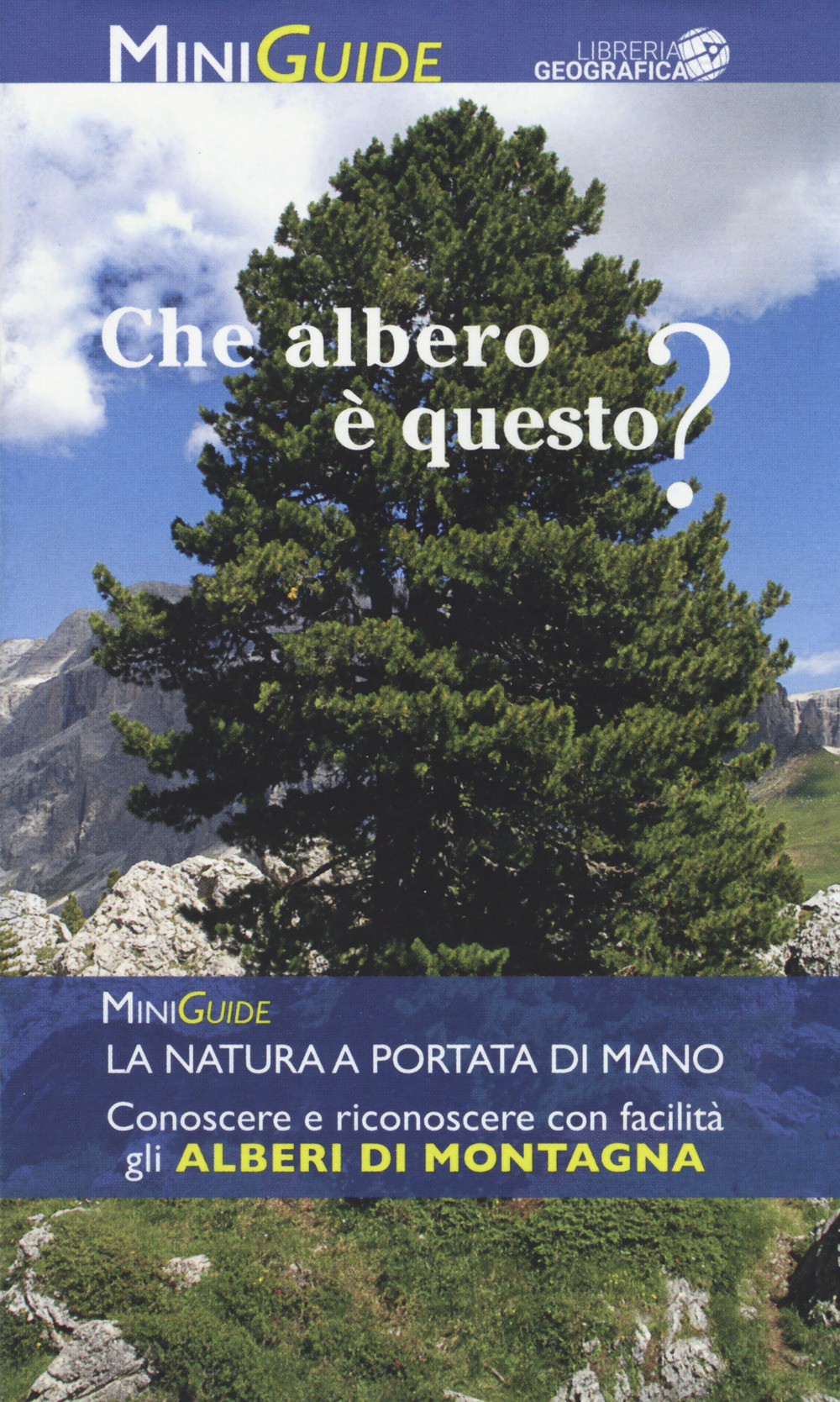 Alberi di montagna