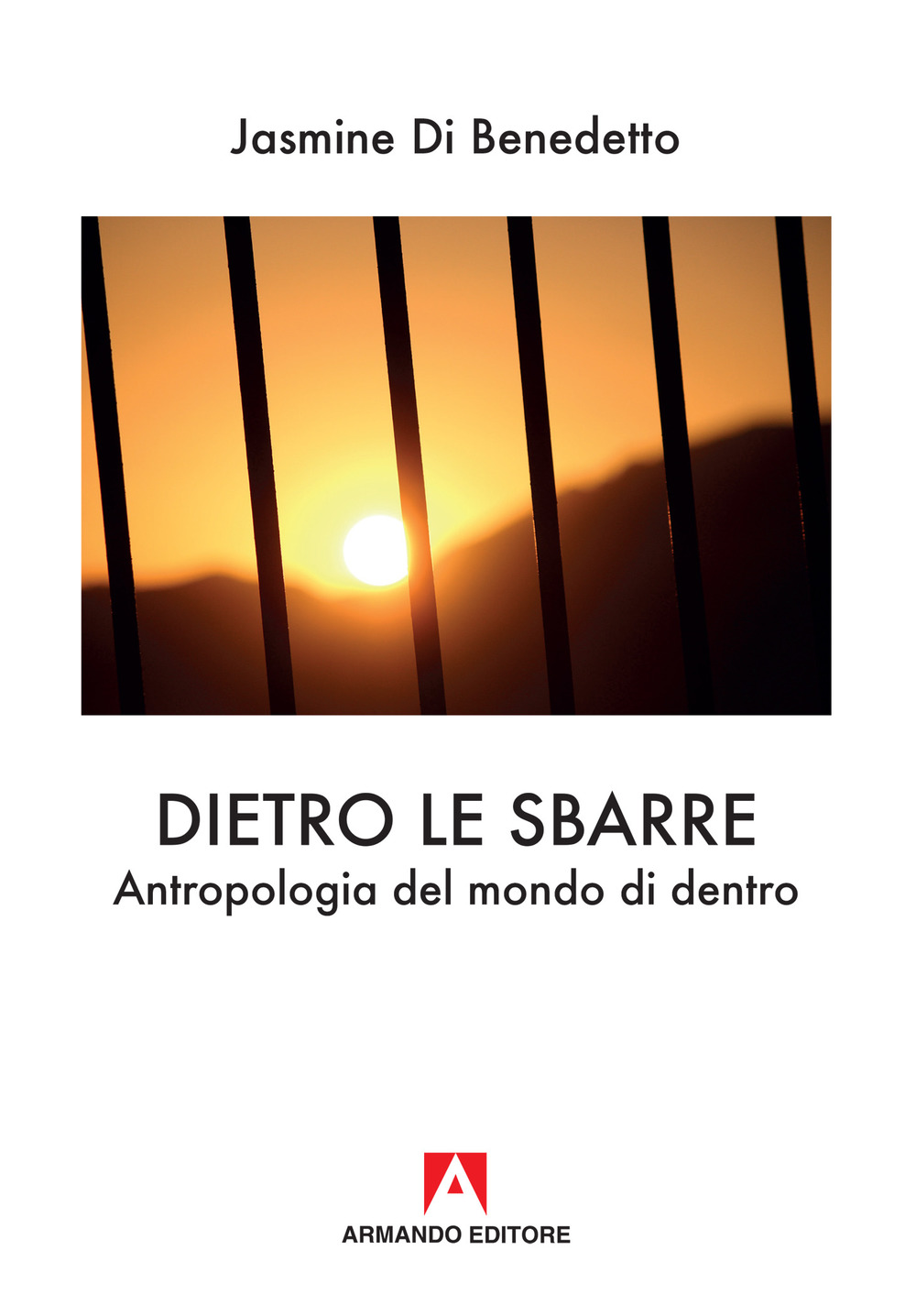 Dietro le sbarre. Antropologia del mondo di dentro