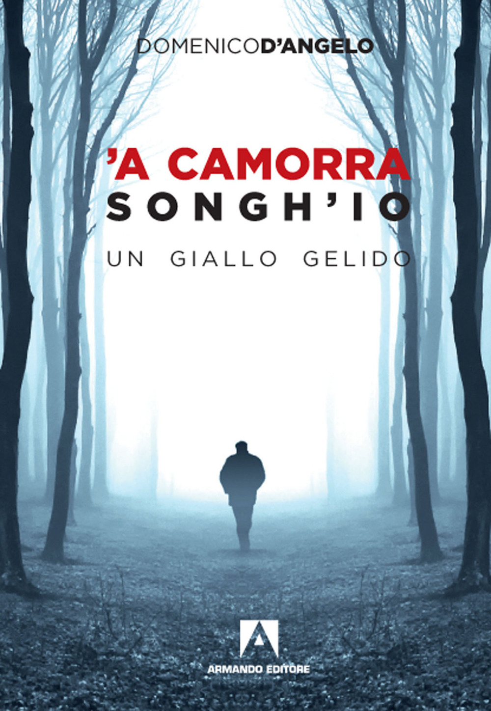'A camorra songh'io. Un giallo gelido