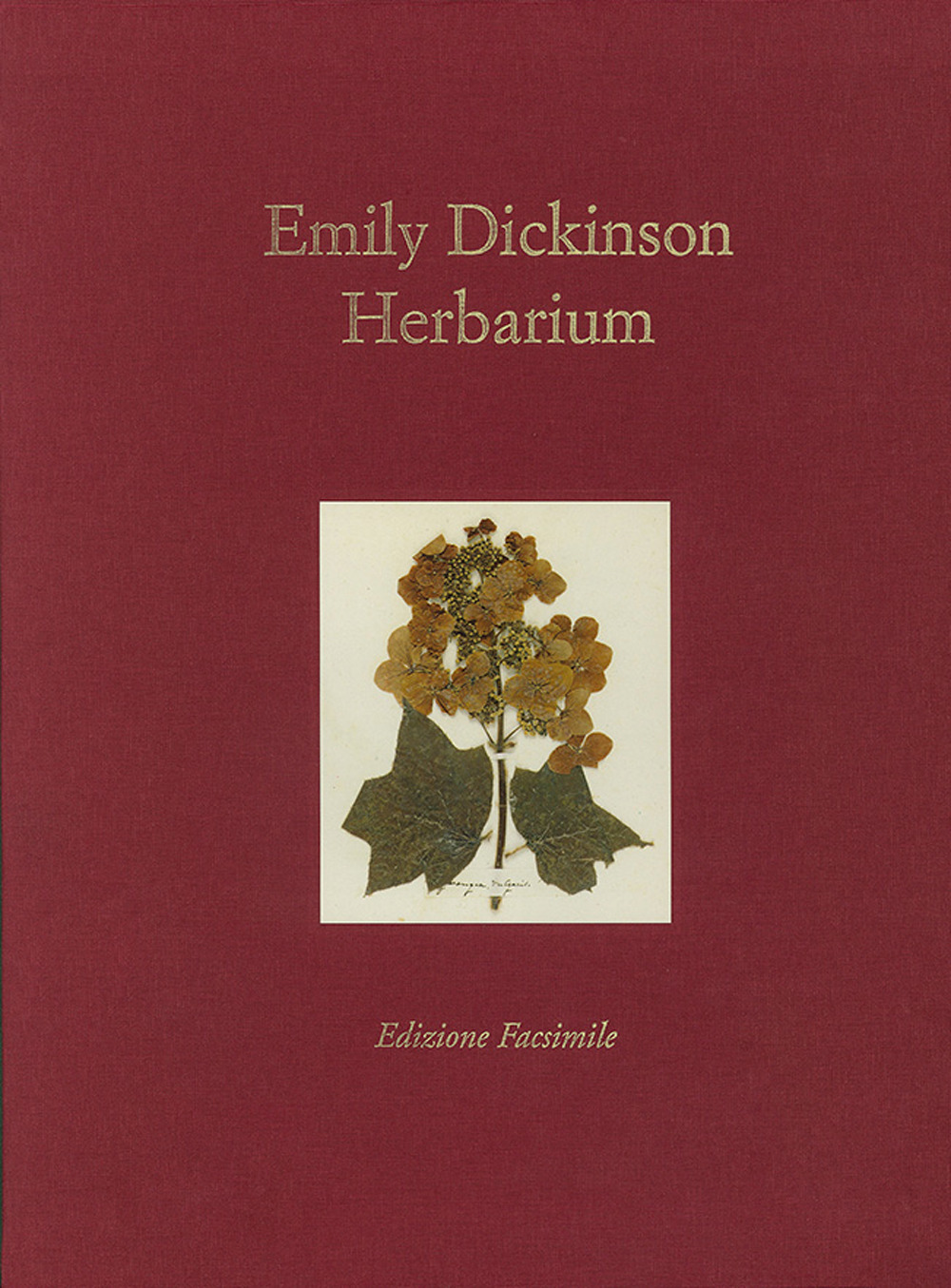 Herbarium