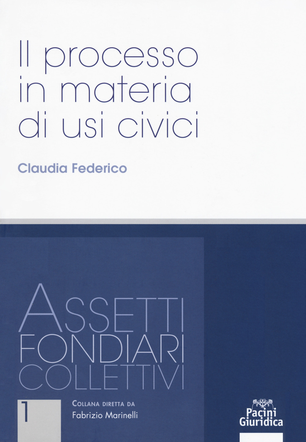Il processo in materia di usi civili