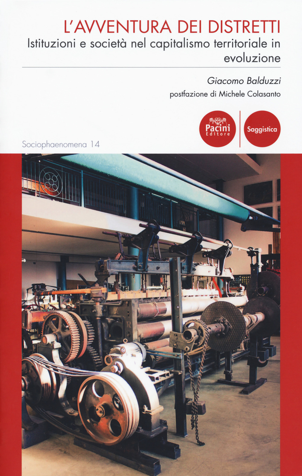 L'avventura dei distretti. Istituzioni e società nel capitalismo territoriale in evoluzione