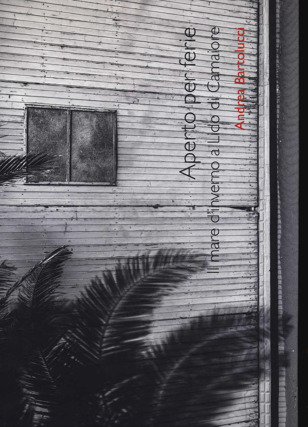 Aperto per ferie. Il mare d'inverno a Lido di Camaiore