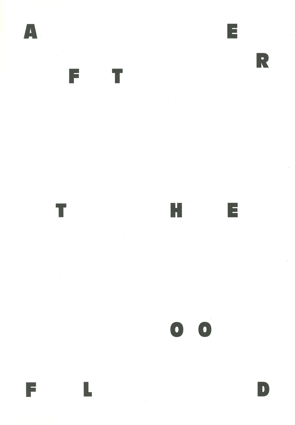 After the Flood. Images for disaster risk reduction. Ediz. italiana e inglese