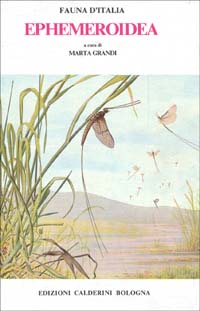 Ephemeroidea