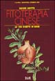 Fitoterapia cinese