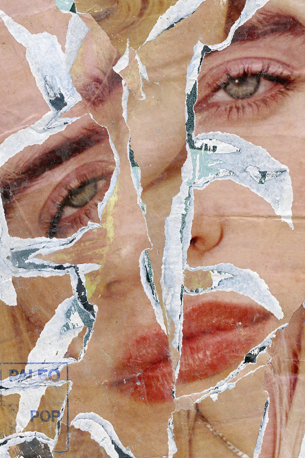 Hilarius Hofstede. The collages