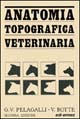 Anatomia topografica veterinaria