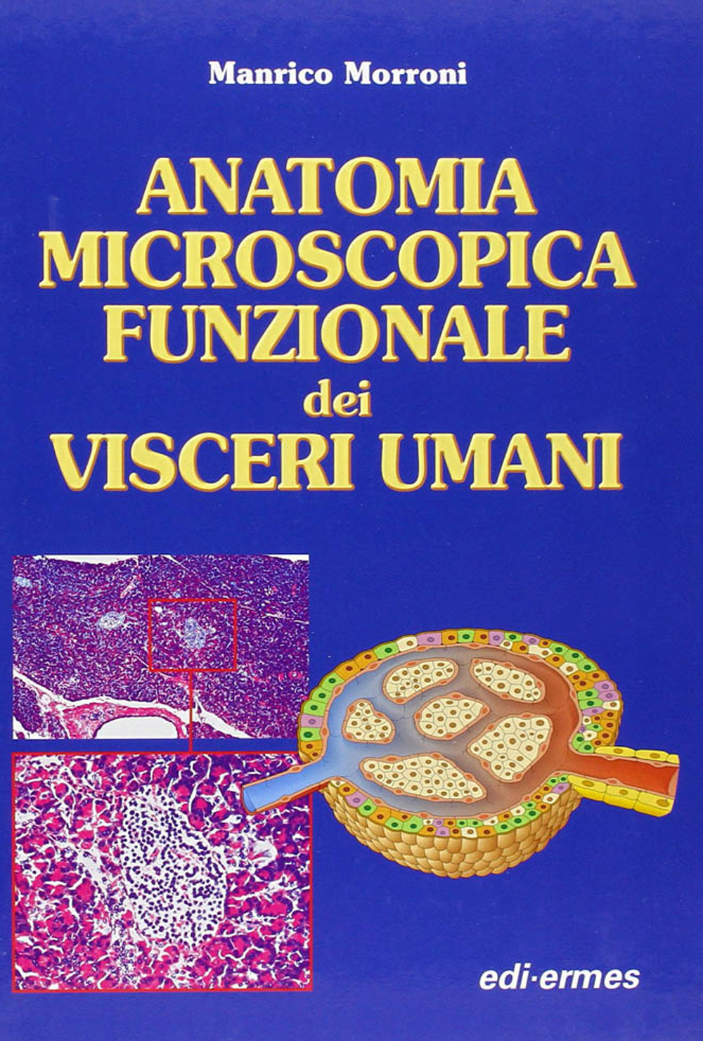 Anatomia microscopica funzionale dei visceri umani