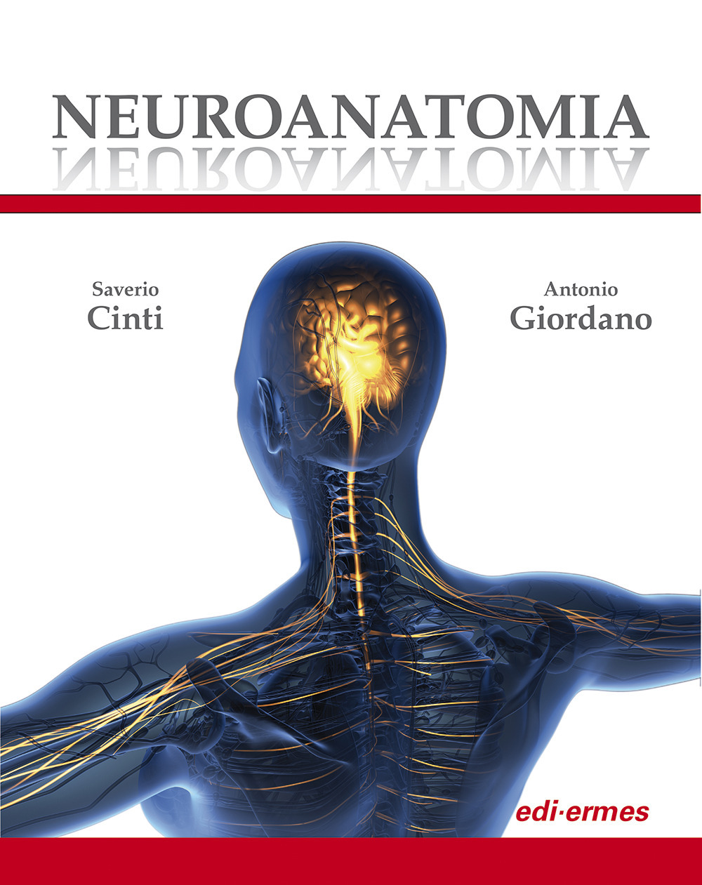 Neuroanatomia