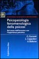 Psicopatologia fenomenologica della psicosi. Sul senso dell'incontro con l'esperienza psicotica