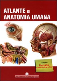 Atlante di anatomia umana