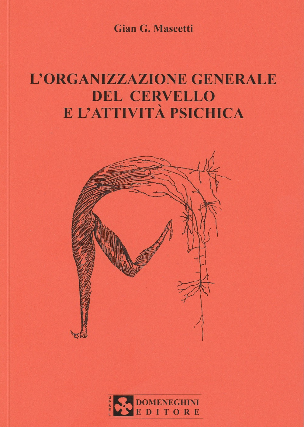 L'organizzazione generale del cervello e l'attività psichica