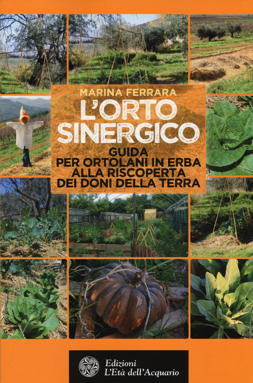 L'orto sinergico. Guida per ortolani in erba alla riscoperta dei doni della terra