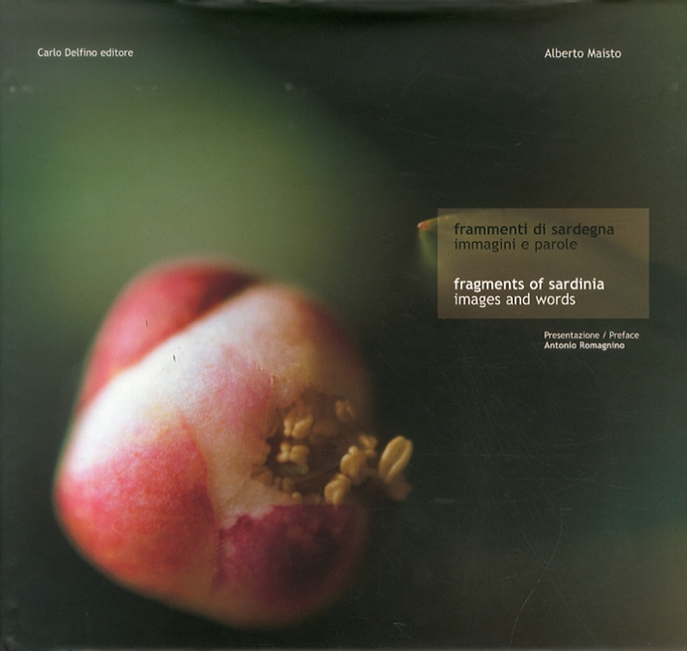 Frammenti di Sardegna. Ediz. italiana e inglese