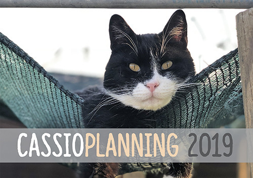 Cassioplanning 2019