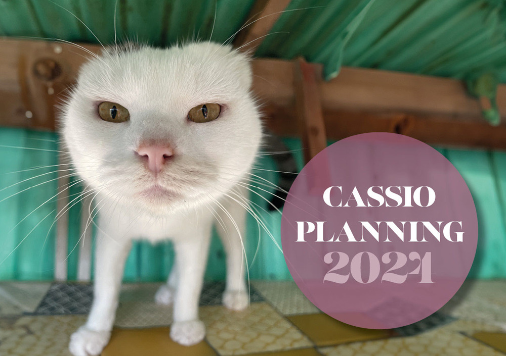 Cassioplanning 2024