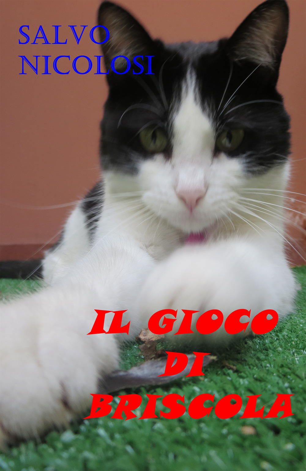 Il gioco di Briscola