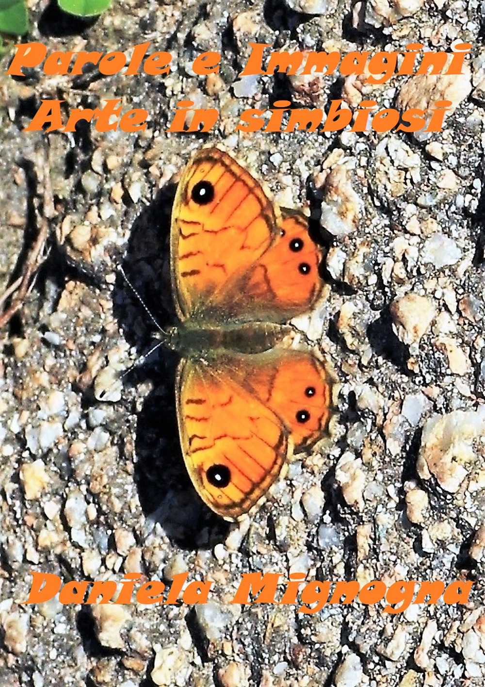 Parole e Immagini. Arte in simbiosi