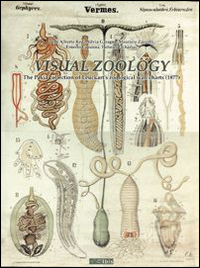 Visual zoology. The Pavia collection of Leuckart's zoological wall charts (1877)