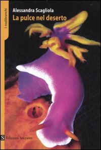La pulce nel deserto