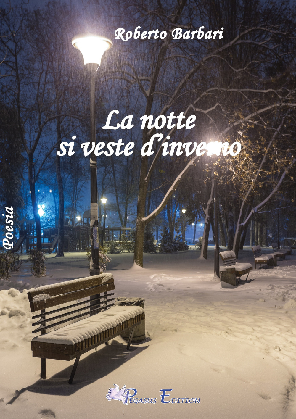 La notte si veste d'inverno