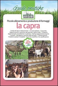 Piccolo allevamento e produzione di formaggi. La capra