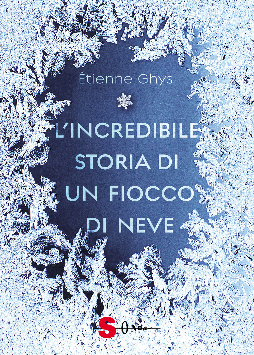 L'incredibile storia di un fiocco di neve