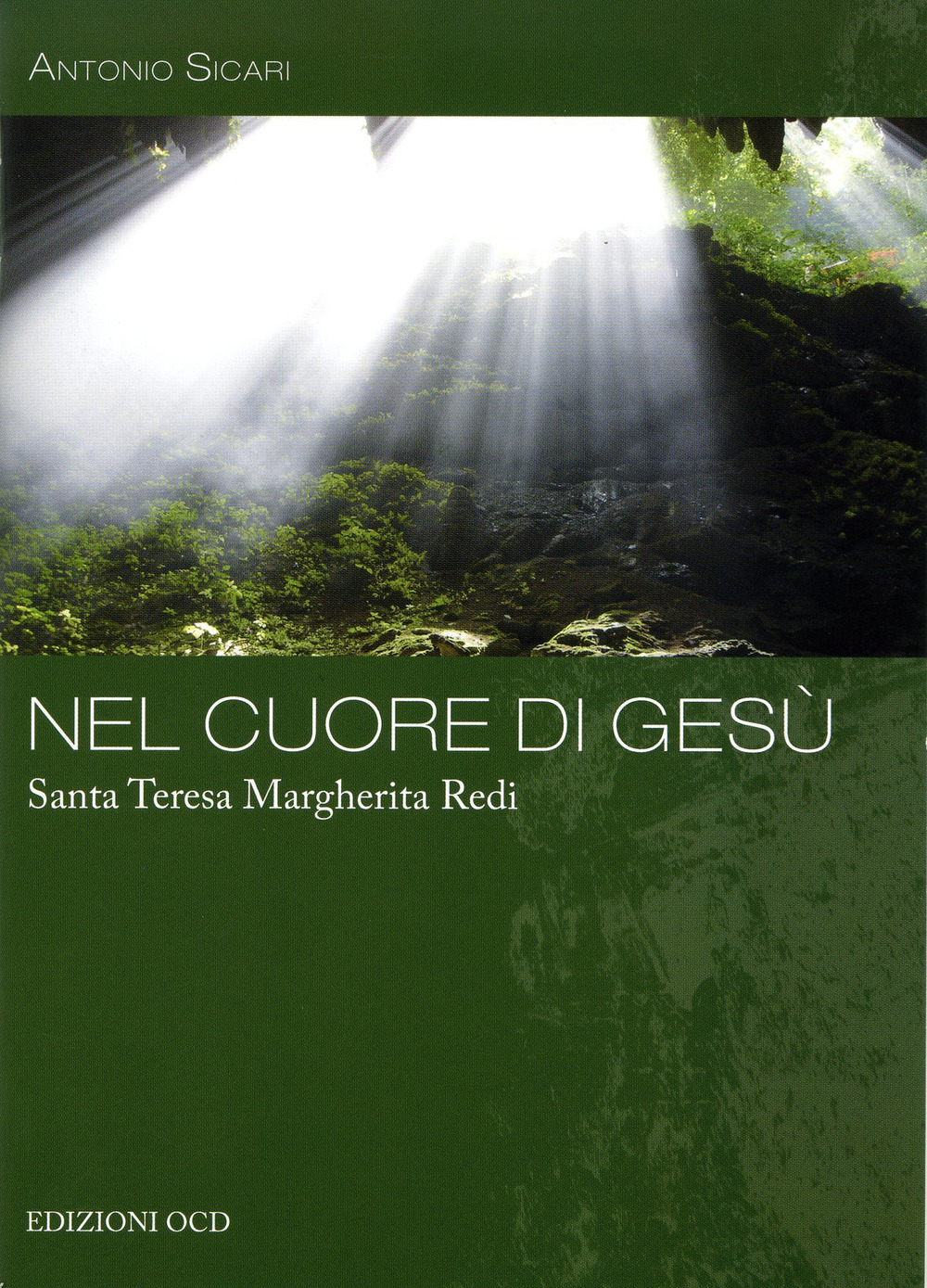 Nel cuore di Gesù. Santa Teresa Margherita Redi