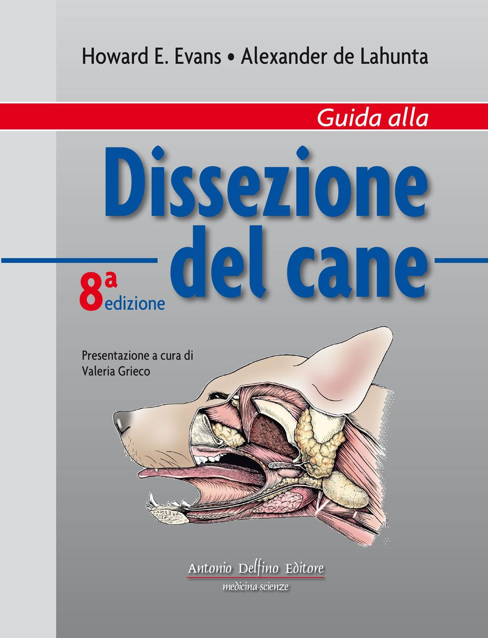 Guida alla dissezione del cane