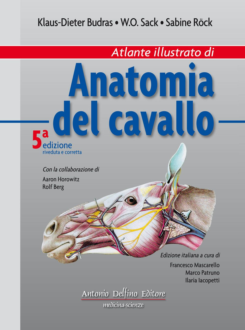 Atlante illustrato di anatomia del cavallo