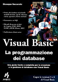 Visual Basic. La programmazione dei database