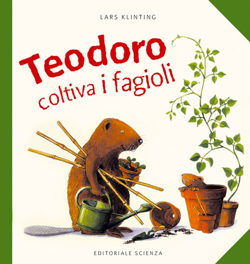 Teodoro coltiva i fagioli