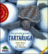 Una piccola grande tartaruga