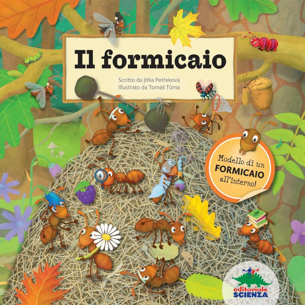 Il formicaio