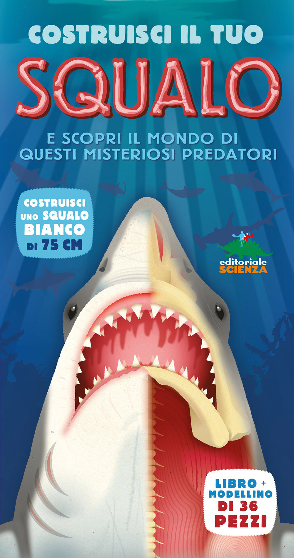 Costruisci il tuo squalo e scopri il mondo di questi misteriosi predatori. Libro pop-up