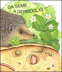 Da seme... a germoglio