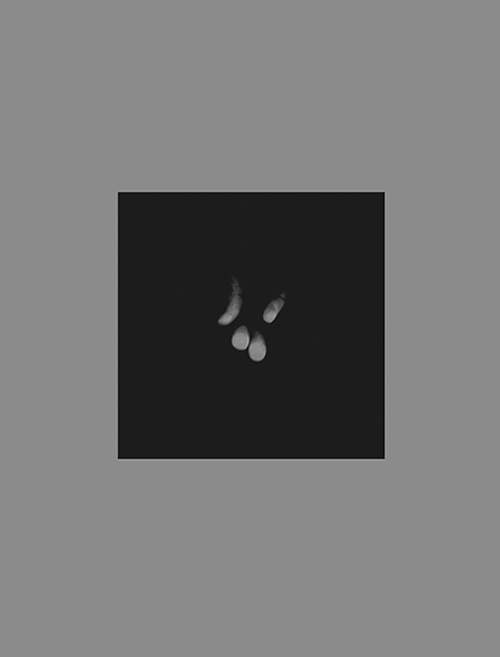 Daniela De Lorenzo. Una certa possibilità