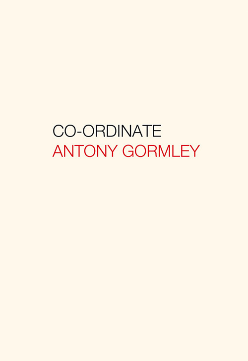 Antony Gormley. Co-ordinate. Ediz. italiana e inglese