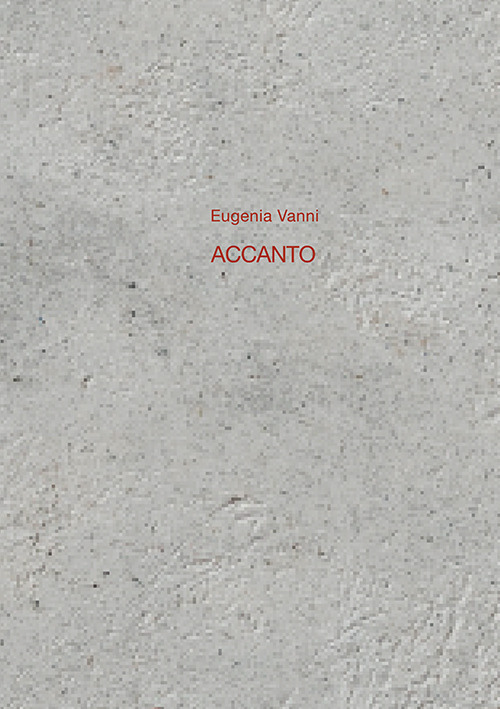 Eugenia Vanni. Accanto. Ediz. italiana e inglese