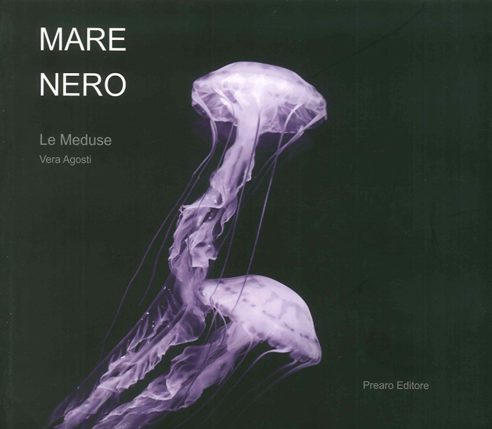 Fabrizio Carotti. Anime salve