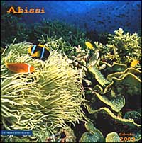 Abissi. Calendario 2003