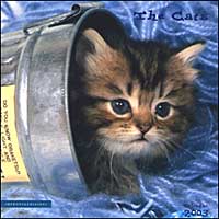 The Cats. Calendario 2003