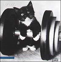 Gatti. Calendario 2003