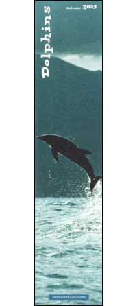 Dolphins. Calendario 2003 lungo