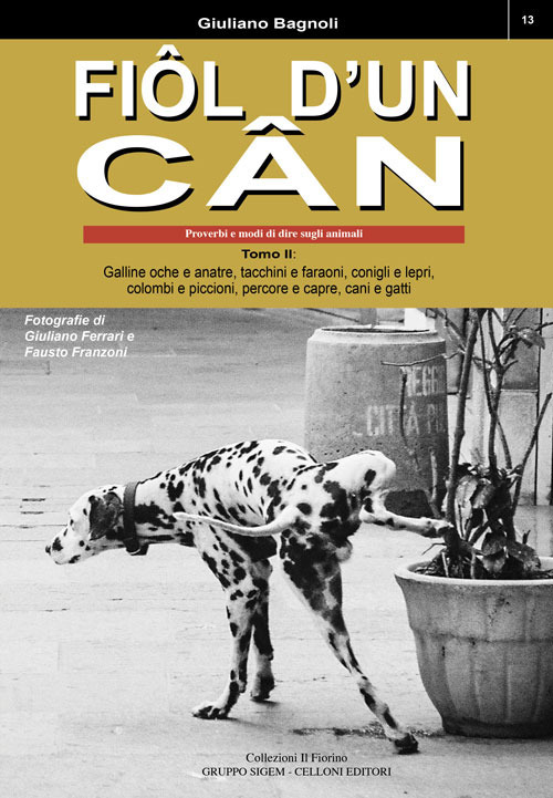 Fiôl d'un cân. Proverbi e modi di dire sugli animali. Vol. 2: Galline oche e anatre, tacchini e faraoni, conigli e lepri, colombi e piccioni, percore e capre, cani e gatti