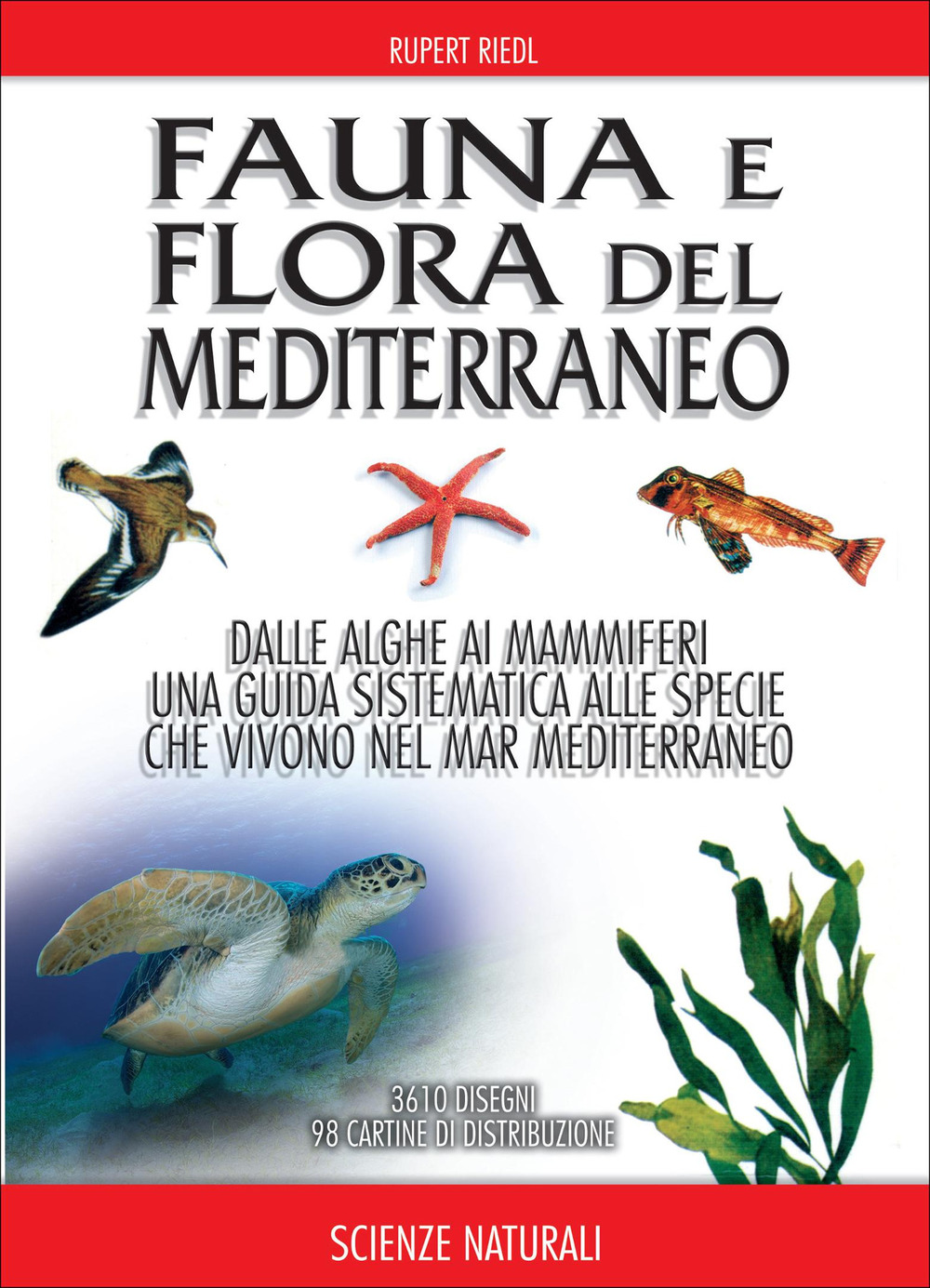 Fauna e flora del Mediterraneo